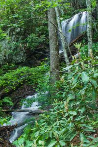 High Swan Falls in Spring Green