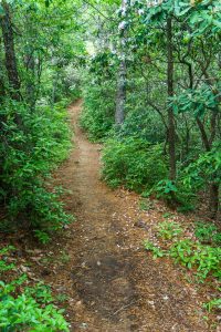 Young's Ridge, or Kitsuma, Trail Across the Ridge