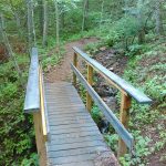 Small Stream on the Mountains to Sea Trail