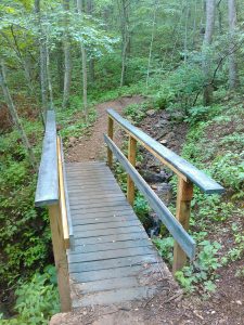 Small Stream on the Mountains to Sea Trail