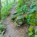 Mossy Rocks beside the Mountains to Sea Trail