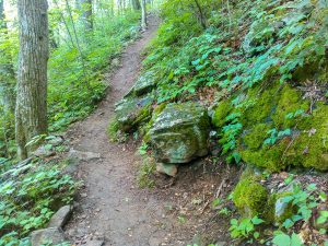 Mossy Rocks beside the Mountains to Sea Trail