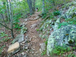 Rocky Section of the Mountains to Sea Trail