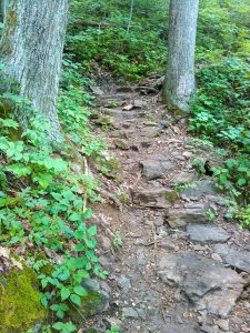 Rocky Section of the Mountains to Sea Trail