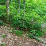 Old Road Junction on the Mountains to Sea Trail