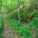 Rock Outcrop Beside the Mountains to Sea Trail