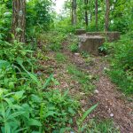 The old fire tower remains on top of Ferrin Knob.