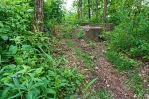 The old fire tower remains on top of Ferrin Knob.