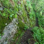 Narrow Trail Along the Bluffs