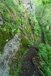 Narrow Trail Along the Bluffs