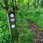 Mountains to Sea Trail Post