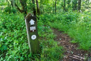 Mountains to Sea Trail Post