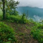 View from the Mountains to Sea Trail