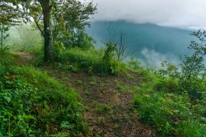 View from the Mountains to Sea Trail