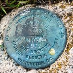 Summit Marker on Bearwallow Mountain