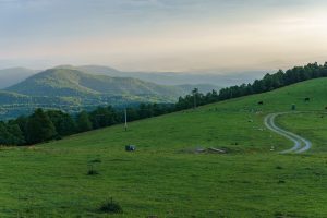 Pasture atop Bearwallow Mountain