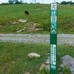 End of the Bearwallow Mountain Trail