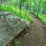 Bearwallow Mountain Trail Past Rock