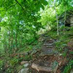 Bearwallow Mountain Trail Outcrop