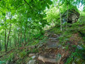 Bearwallow Mountain Trail Outcrop