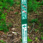 Start of the Bearwallow Mountain Trail