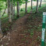 Bearwallow Mountain Trail at Woods Edge