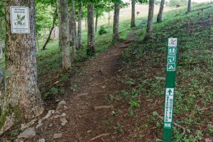 Bearwallow Mountain Trail at Woods Edge