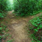 Thompson River Trail/High Falls Split