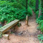 Mountains to Sea Trail North of Bull Mountain