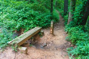 Mountains to Sea Trail North of Bull Mountain