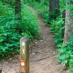 Mountains to Sea Trail North of Bull Mountain