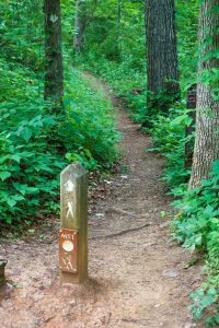 Mountains to Sea Trail North of Bull Mountain