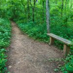 Bench Beside the Mountains to Sea Trail