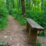 Bench Beside the Mountains to Sea Trail