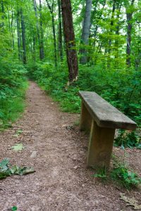 Bench Beside the Mountains to Sea Trail