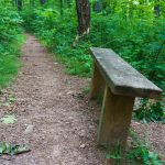 Bench Beside the Mountains to Sea Trail