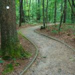 Curve and White Blaze