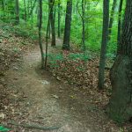 Mountains to Sea Trail on Bull Mountain