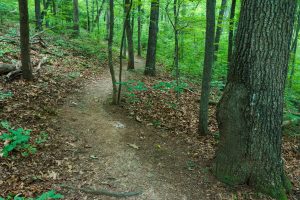 Mountains to Sea Trail on Bull Mountain