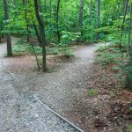 Mountains to Sea Trail and Nature Trail