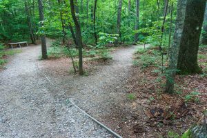 Mountains to Sea Trail and Nature Trail