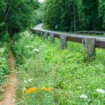 Mountains to Sea Trail Riceville Road Crossing