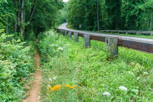 Mountains to Sea Trail Riceville Road Crossing