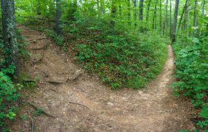 Spur Path to Old Road