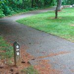 Mountains to Sea Trail Sidewalk