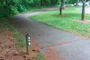 Mountains to Sea Trail Sidewalk