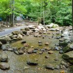 Gate Trail in Robert Lake Park