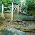 Steps on the Lookout Trail