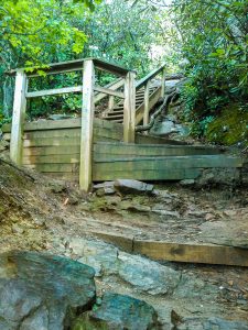 Steps on the Lookout Trail