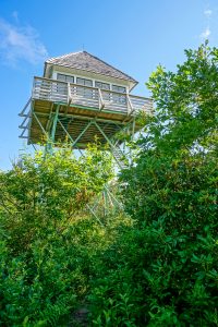 Green Knob Fire Tower